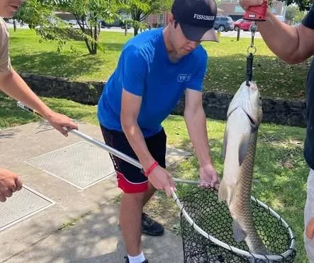 Local Angler Lands Significant Catch at Fort Loudoun Lake